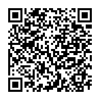 qrcode:http://www.paradisfj.info/-Serge-Dassault-.html