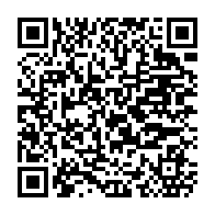 qrcode:http://www.paradisfj.info/-Les-diamants-du-sang-.html
